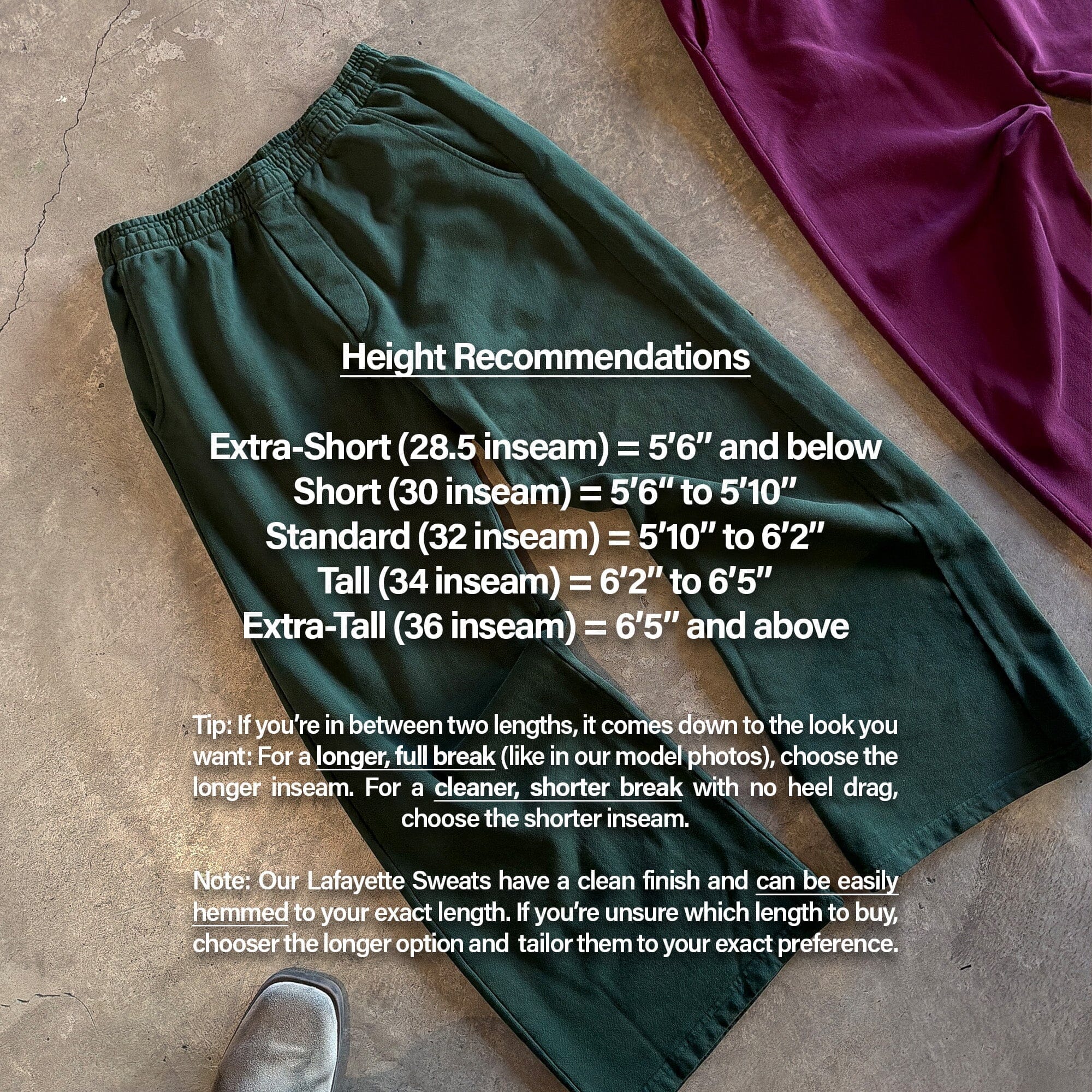 Lafayette Studio Pants II (Sweats) - Image 6