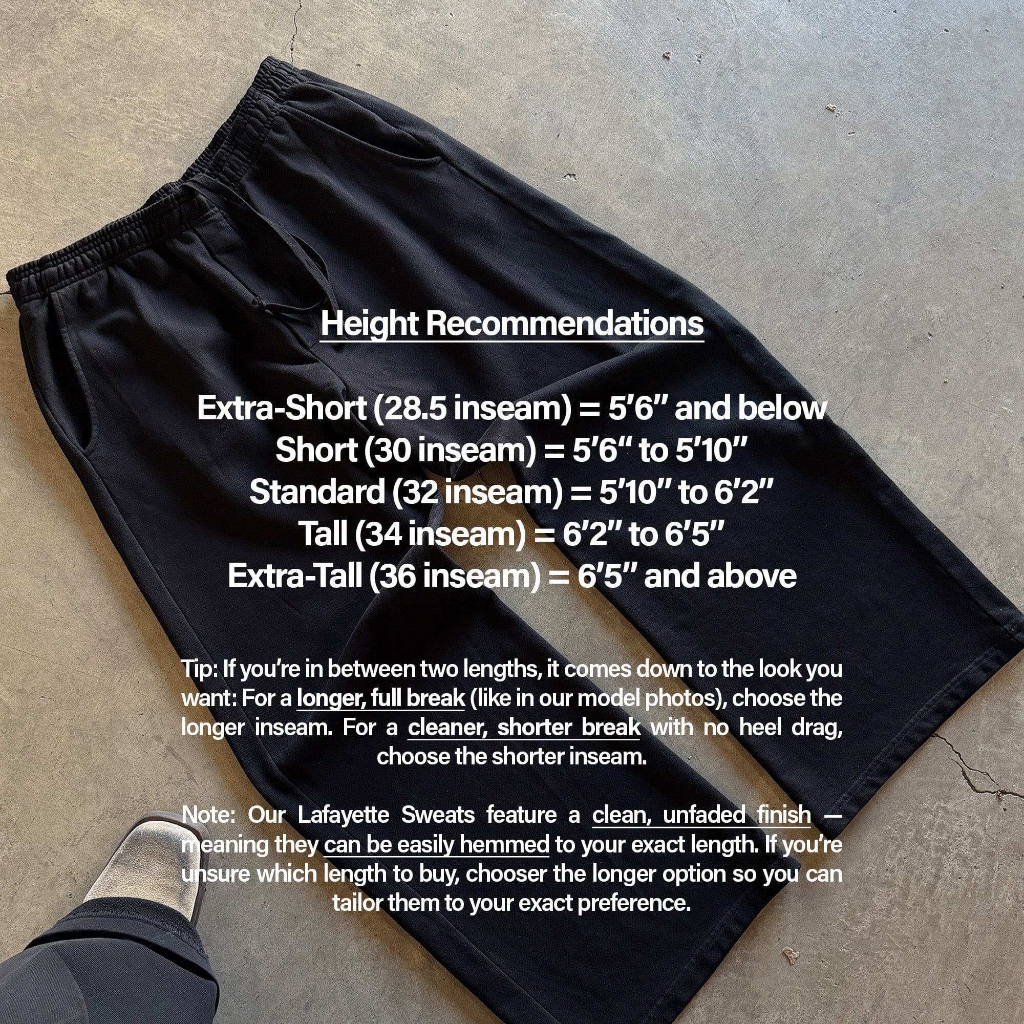 Lafayette Studio Pants II (Sweats) - Image 9
