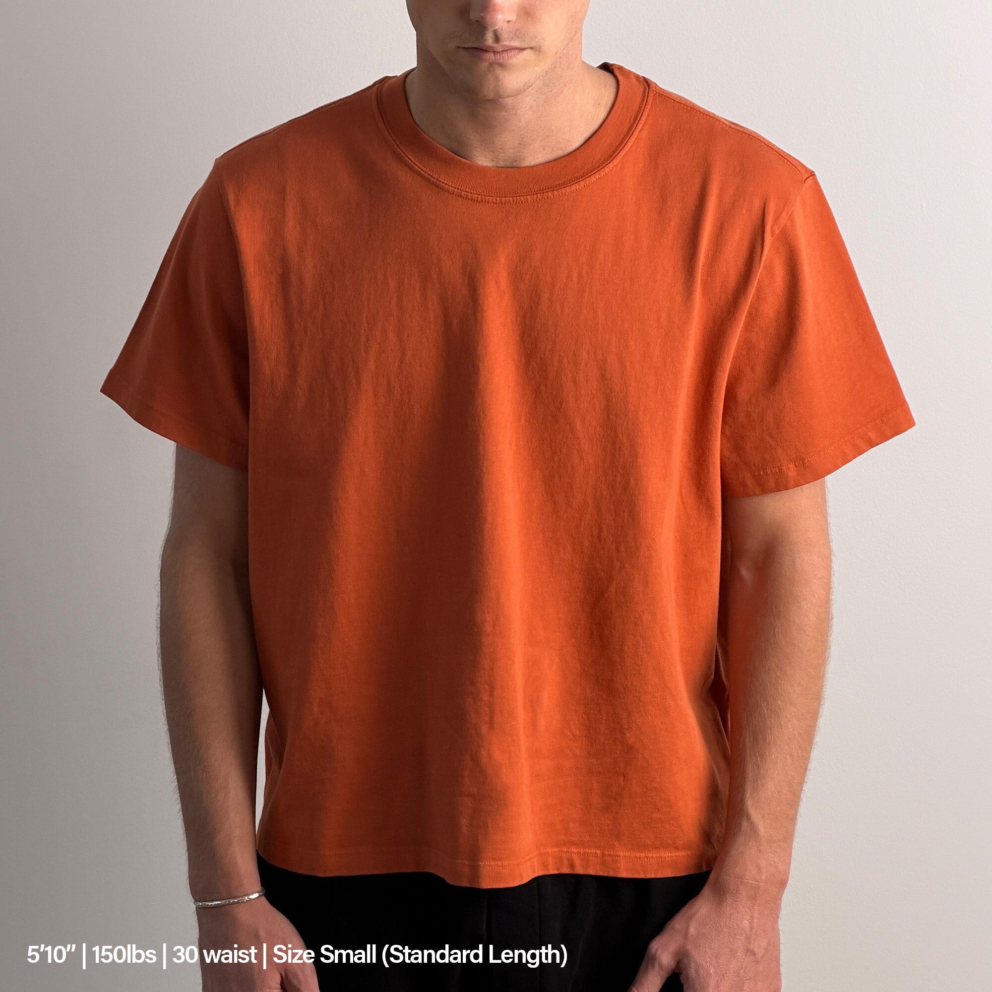 Silverlake Crop Tee II - Image 5
