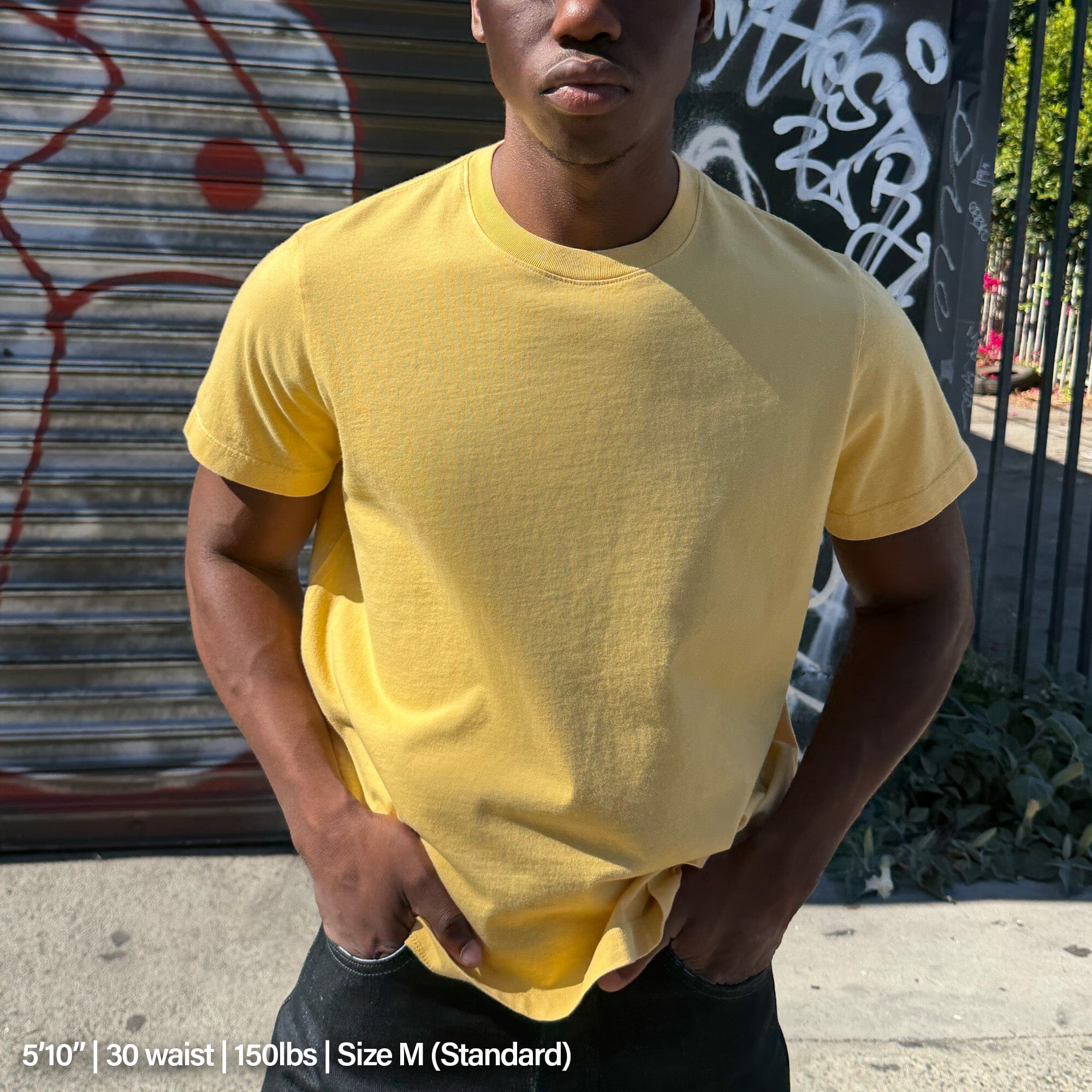 Silverlake Crop Tee III | Boxy. Relaxed Fit - Image 3