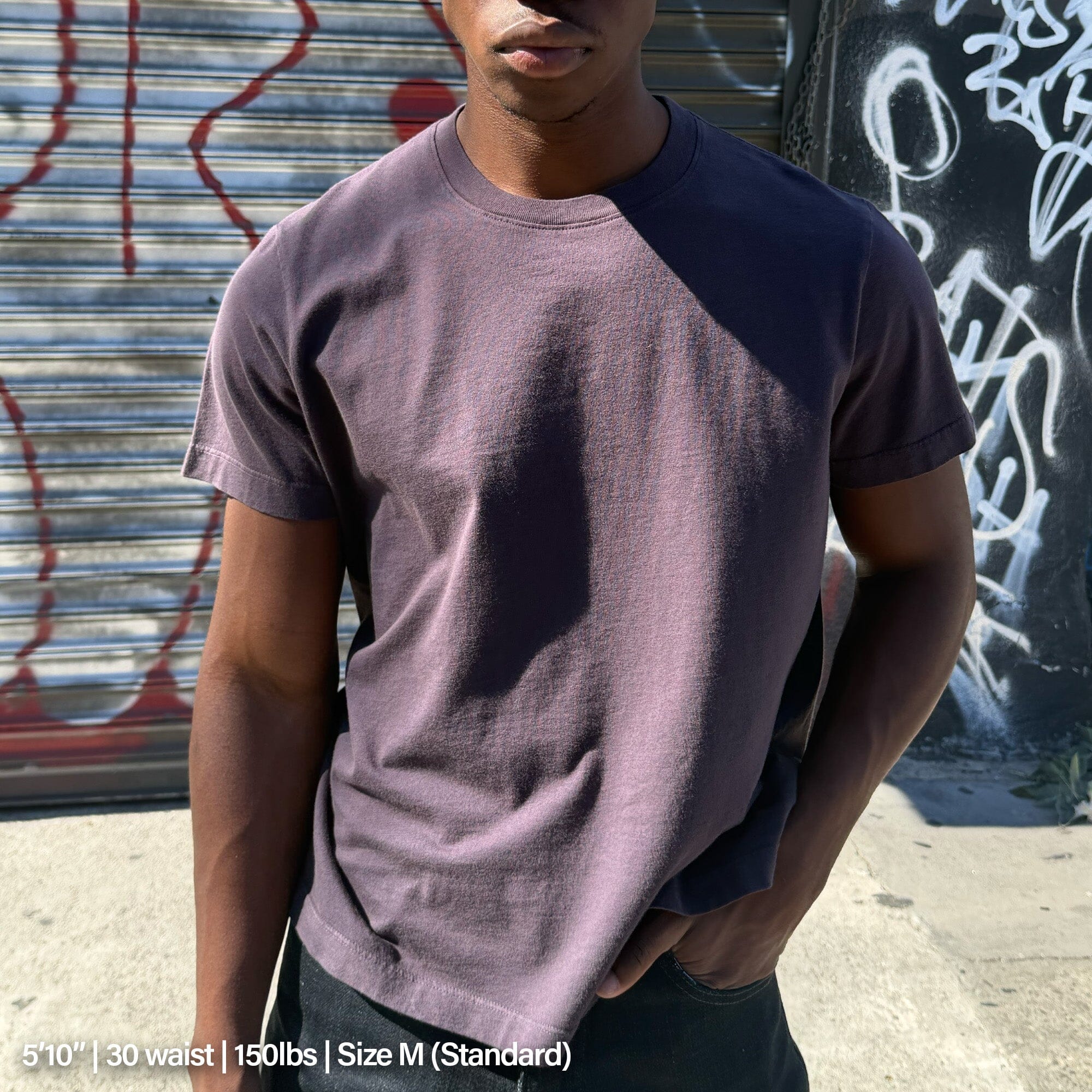 Silverlake Crop Tee III | Boxy. Relaxed Fit - Image 3