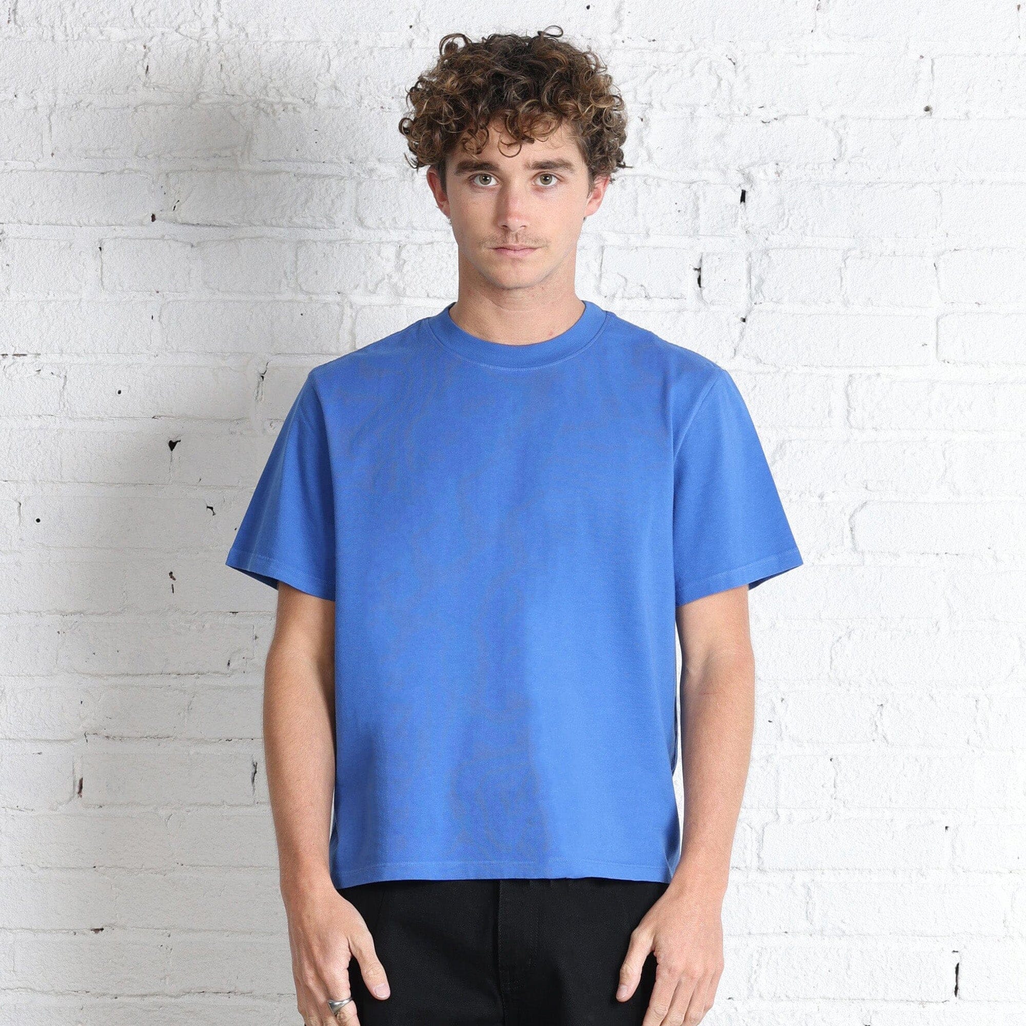 Silverlake Crop Tee II